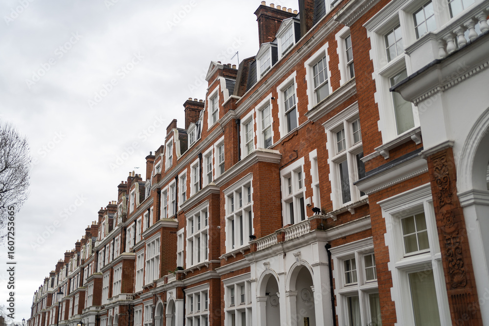Fototapeta premium Row of houses