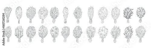 Bath Brooms Illustrations in Art Ink Style