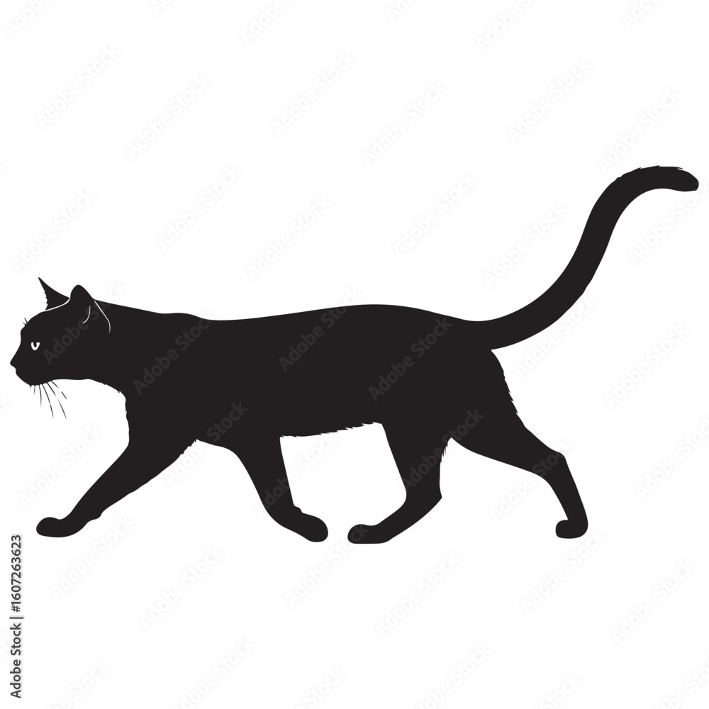 Fototapeta premium black cat silhouette