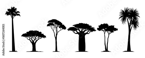 Set of tropical trees including various baobab tree silhouettes
