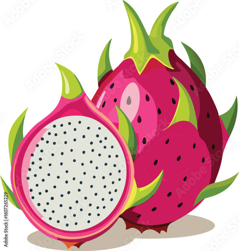 Two Dragon Fruit Illustration