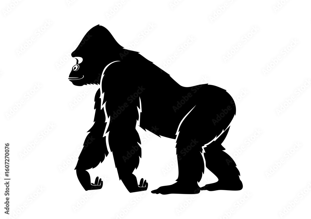 Fototapeta premium icon06