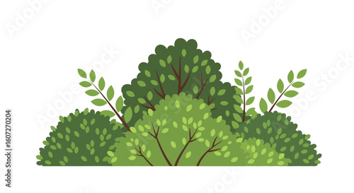 Lush Greenery: A Vivid Cartoon Illustration of Dense Foliage and Verdant Plant Life Depicting Bushy Thickets