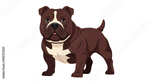 Illustrative cartoon of a brown and white American bully dog isolated on a white background standing patiently