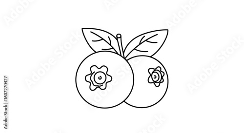 Minimalist Blueberry Duo: Simple Black and White Line Art of Fresh Berries with Leaves  50 to 100 caracters