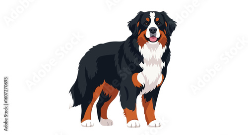 Illustrated Bernese Mountain Dog Isolated on White Background, A breed known for its intelligence and loyalty as a cherished family companion
