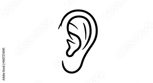 Human Ear Line Art Illustration for Medical and Anatomical Educational Resources