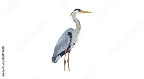 Elegant Heron Isolated on White Background Portraying Serenity and Wildlife Artistically Represented with Graceful Lines and Subtle Color Palette