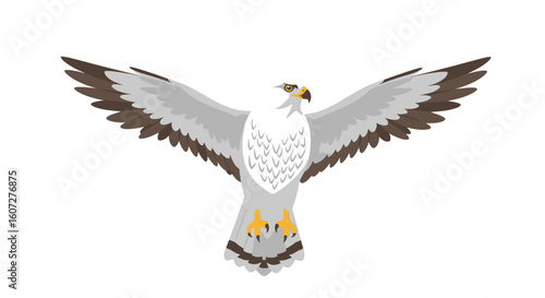 Isolated graphical depiction of a soaring bird with outstretched wings on plain backdrop displaying natural elegance and freedom