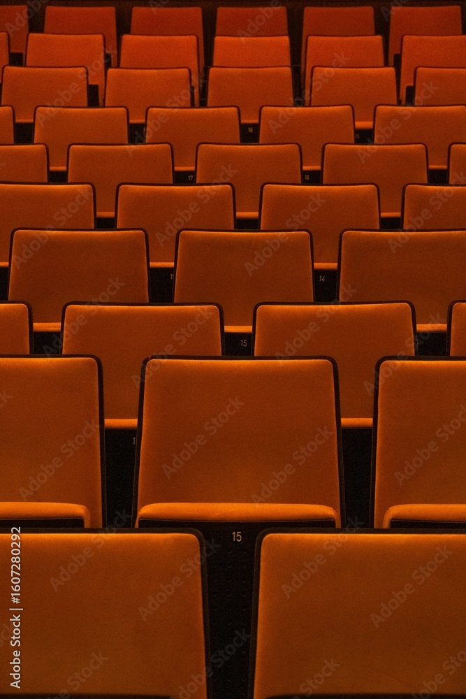 Naklejka premium rows of chairs