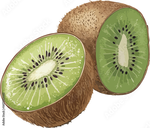 kiwi fruit isolated on white