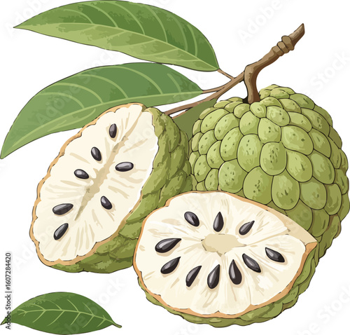 ripe mango fruit