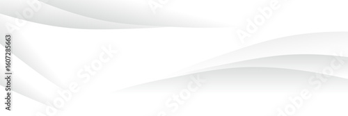 Gray line background curve element with white space for text and message design, overlapping layers, eps10