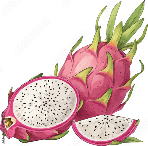 dragon fruit on white background