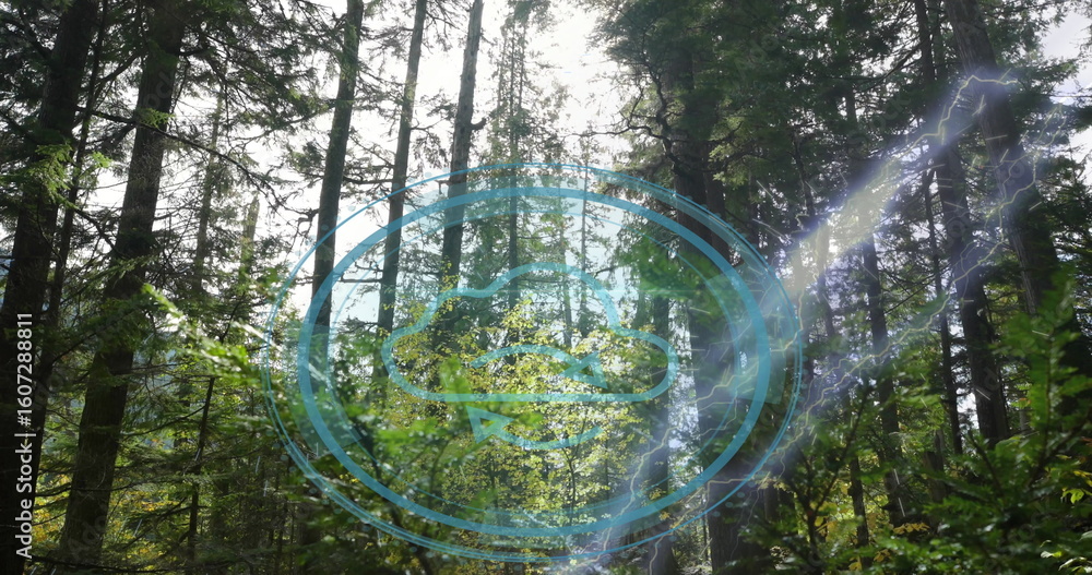 Fototapeta premium Projecting blue circular hologram in forest clearing with lightning streak and canopy sunbeams