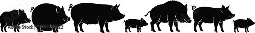 Silhouettes of pigs and wild boars in row, varied breeds and tusked shapes, cad drawing flat vector illustration comparison concept
