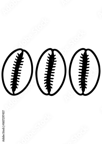 Black and white vector cowrie shell illustration. Ideal for engraving, laser cutting, tattoos, prints, and creative design concepts