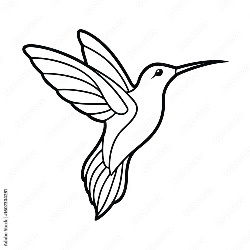 Fototapeta premium elegant hummingbird line art natures grace