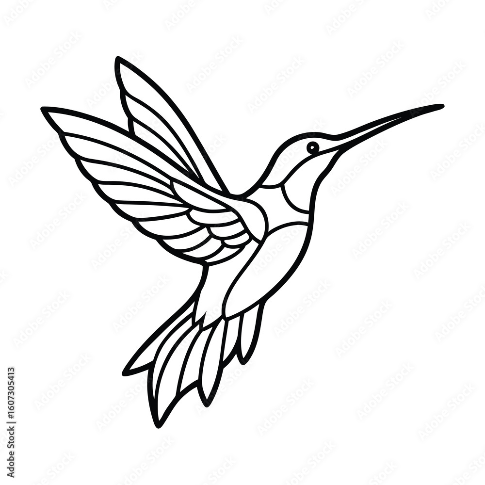 Fototapeta premium elegant hummingbird line art natures grace