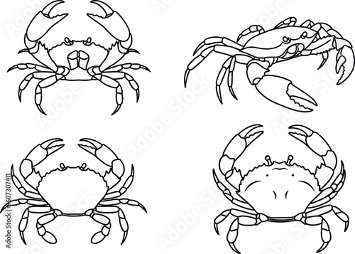 Four detailed line art illustrations of crabs shown from different angles on a white background