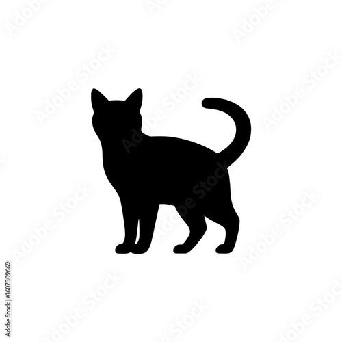 A black cat standing isolated on white background