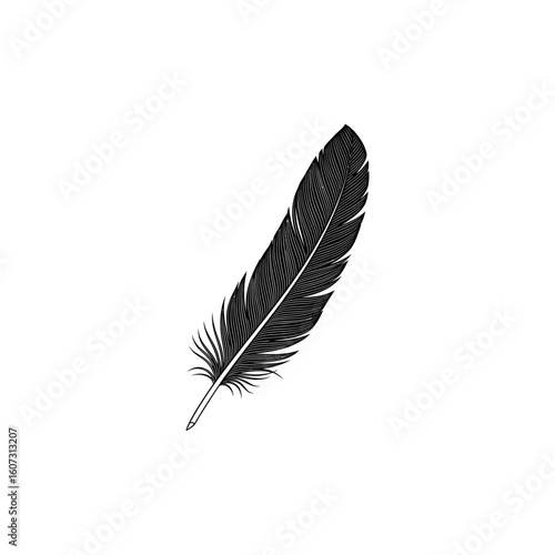 A black feather is isolated on white background, creating a simple yet elegant image