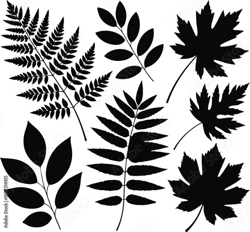 Detailed botanical illustration with vibrant floral elements and leaves
