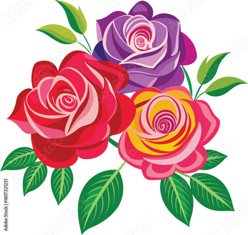 Balsam Roses colorful vector on a white background 