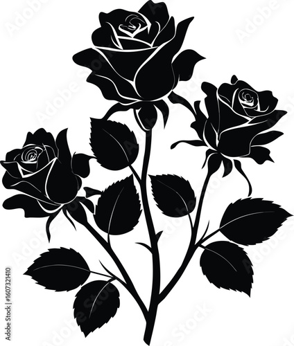 Balsam Roses silhouette vector on a white background 