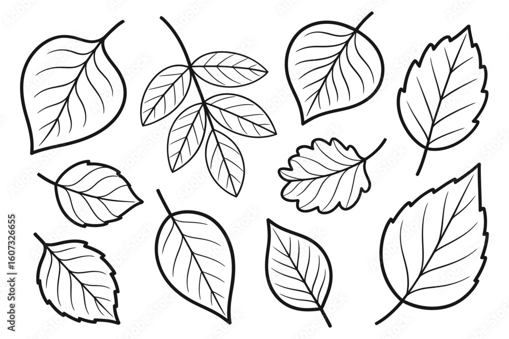 Collection of Hand-Drawn Outline Leaves; Simple, Elegant Botanical Illustrations; Perfect for Nature-Themed Designs.