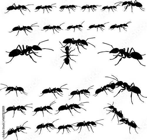 Silhouette illustration of numerous ants, some clustered together, others moving individually, against a white background.