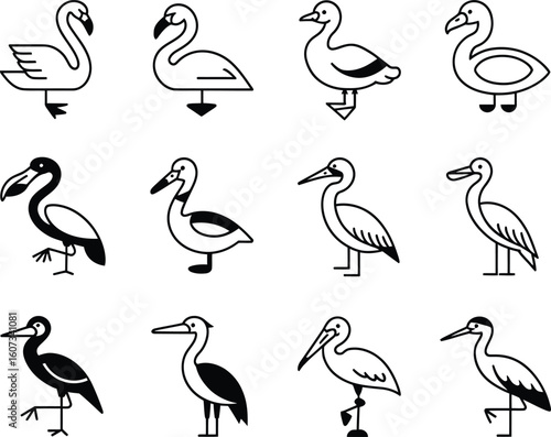 Collection of hand drawn bird illustrations with various poses and species