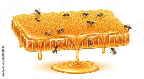 Illustration of honeycomb filled with honey with bees isolated on white background