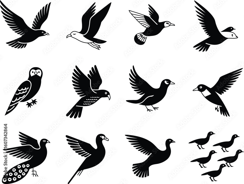 Fototapeta premium Collection of diverse bird silhouettes in flight and perched