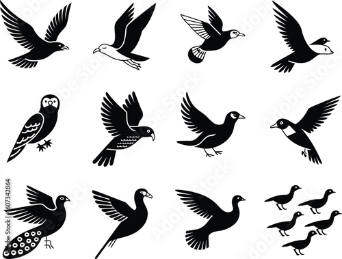 Collection of diverse bird silhouettes in flight and perched