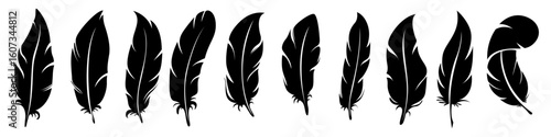 Black and White Feather. Bird feather icons set. Black Feather Silhouette vector illustration.
