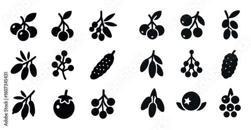 Superfood Berry Icons