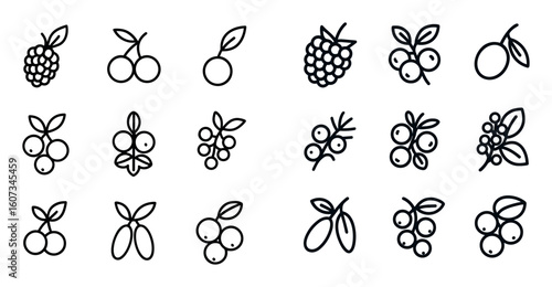Minimalist Berry Icons