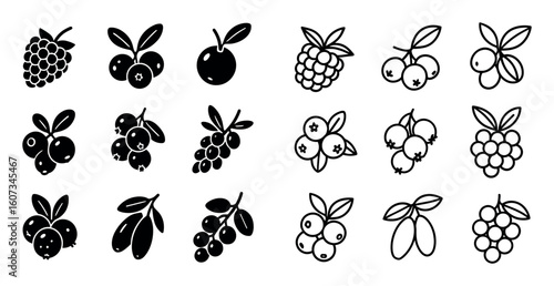 Berry Icon Grid