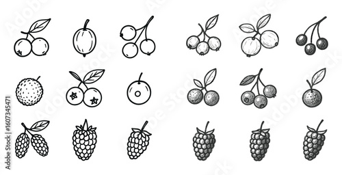 Exotic Berry Icons