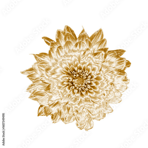 Wallpaper Mural Elegant golden dahlia flower with metallic texture isolated on white background. Perfect for luxury branding, packaging, wall art, and modern decorative design projects. Torontodigital.ca
