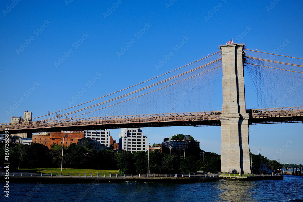 Naklejka premium Brooklyn Bridge Brooklyn Shores in Morning Light (Brooklyn, New York, USA)