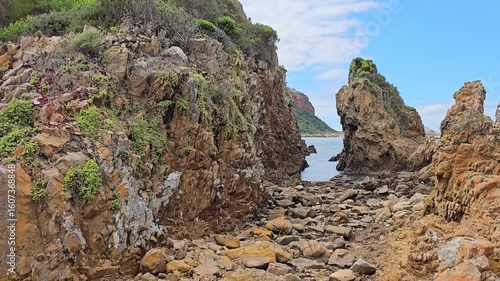Exploring unique rock formations and coastal vegetation at a serene beach location