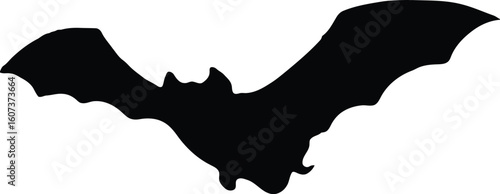 A black silhouette of a bat with outstretched wings, isolated on a white background
