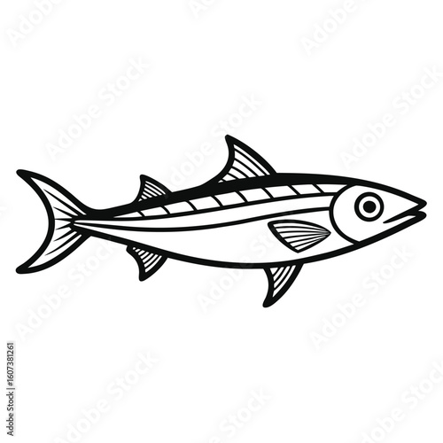 Simple anchovy fish outline illustration isolated on white background