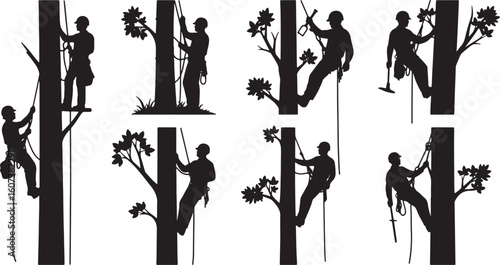 Silhouette tree climber with rope and equipment on white background, tree climber, silhouette, arborist, climbing, rope, harness, helmet, safety, equipment, tree, branch, nature, outdoor, activity, wo