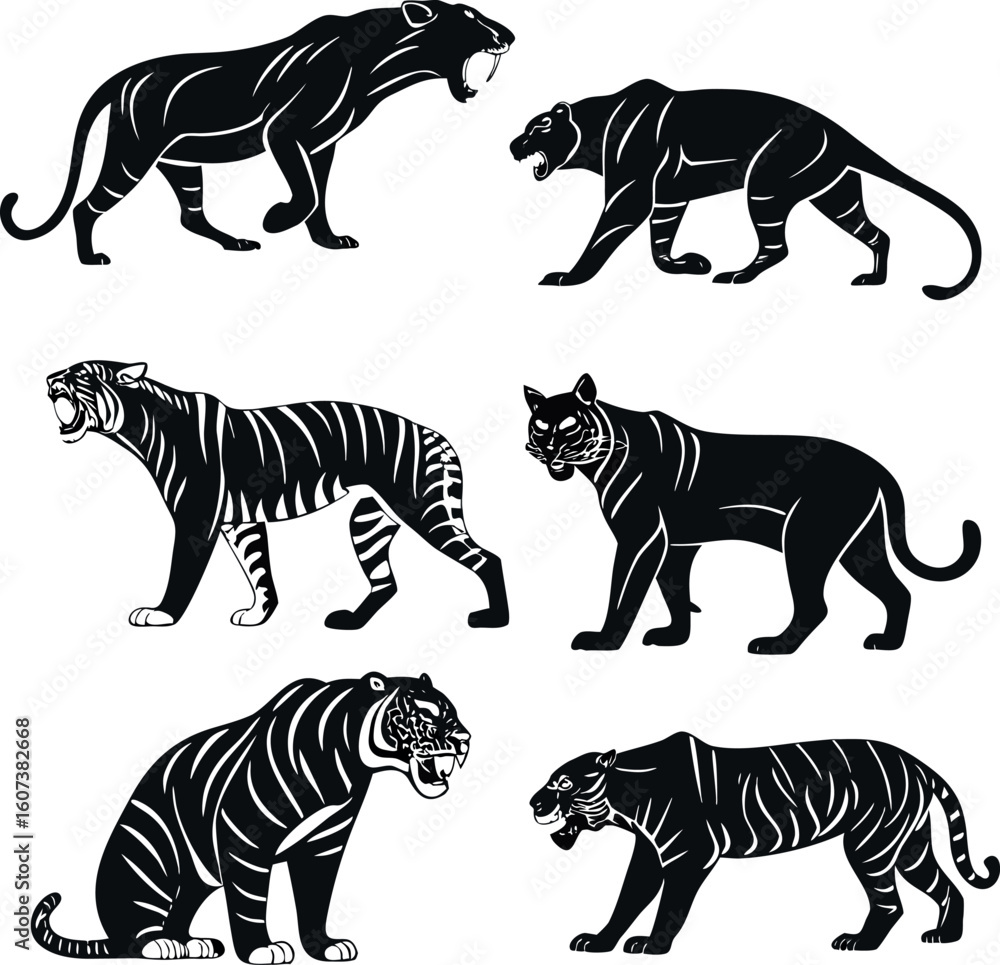 Obraz premium zebra vector illustration