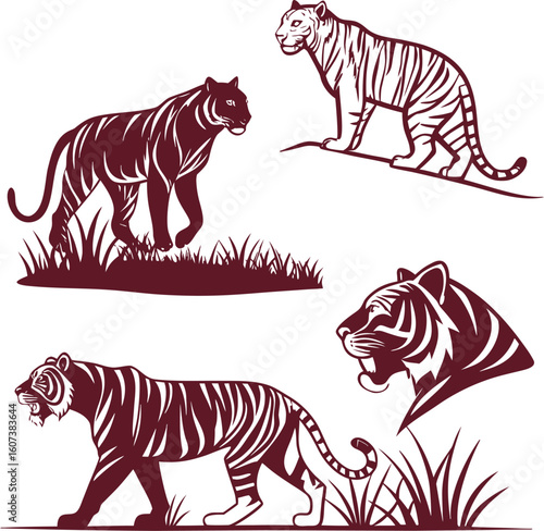 Canvas Print tiger on a white background
