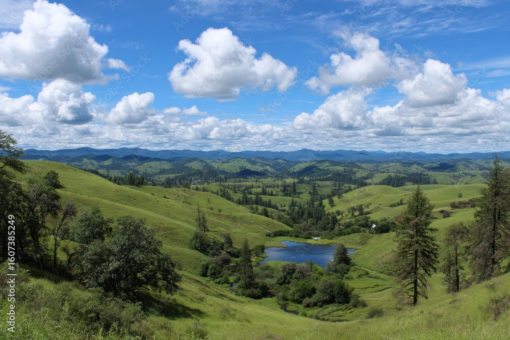 Fototapeta premium Expansive verdant rolling hills under a bright blue sky with fluffy white clouds and a serene pond