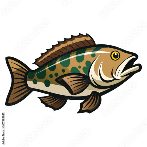 Vibrant grouper fish illustration aquatic marine life isolated on white background
